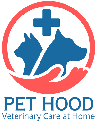 pethoodvetclinic.com